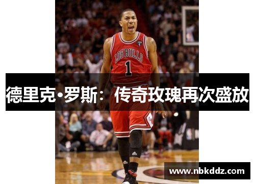 德里克·罗斯:传奇玫瑰再次盛放